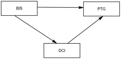 Relationships between body image, dyadic coping and post-traumatic growth in breast cancer patients: a cross-sectional study